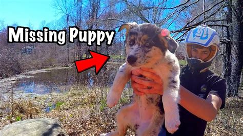 Found Missing Puppy In The Forest (Alone and Thirsty) *HAPPY .